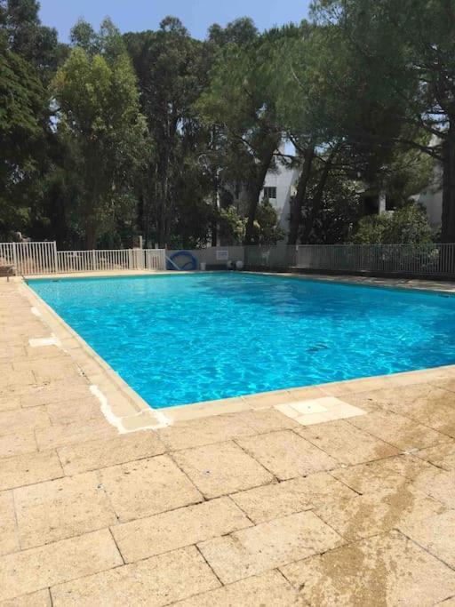 라센느쉬르메르 Le Dyonisos Et Piscine 아파트 외부 사진
